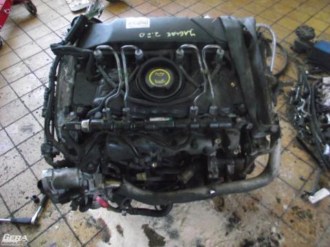 LJ46G motor.Jaguar X-Type 2.2 dízel motor. Blokk + hengerfej!...